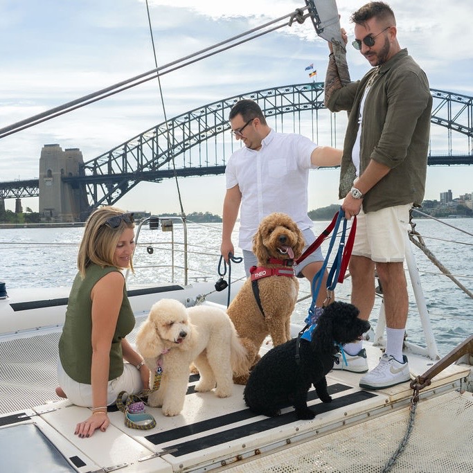 Dogs on Deck Harbour Cruise - Sydney Harbour