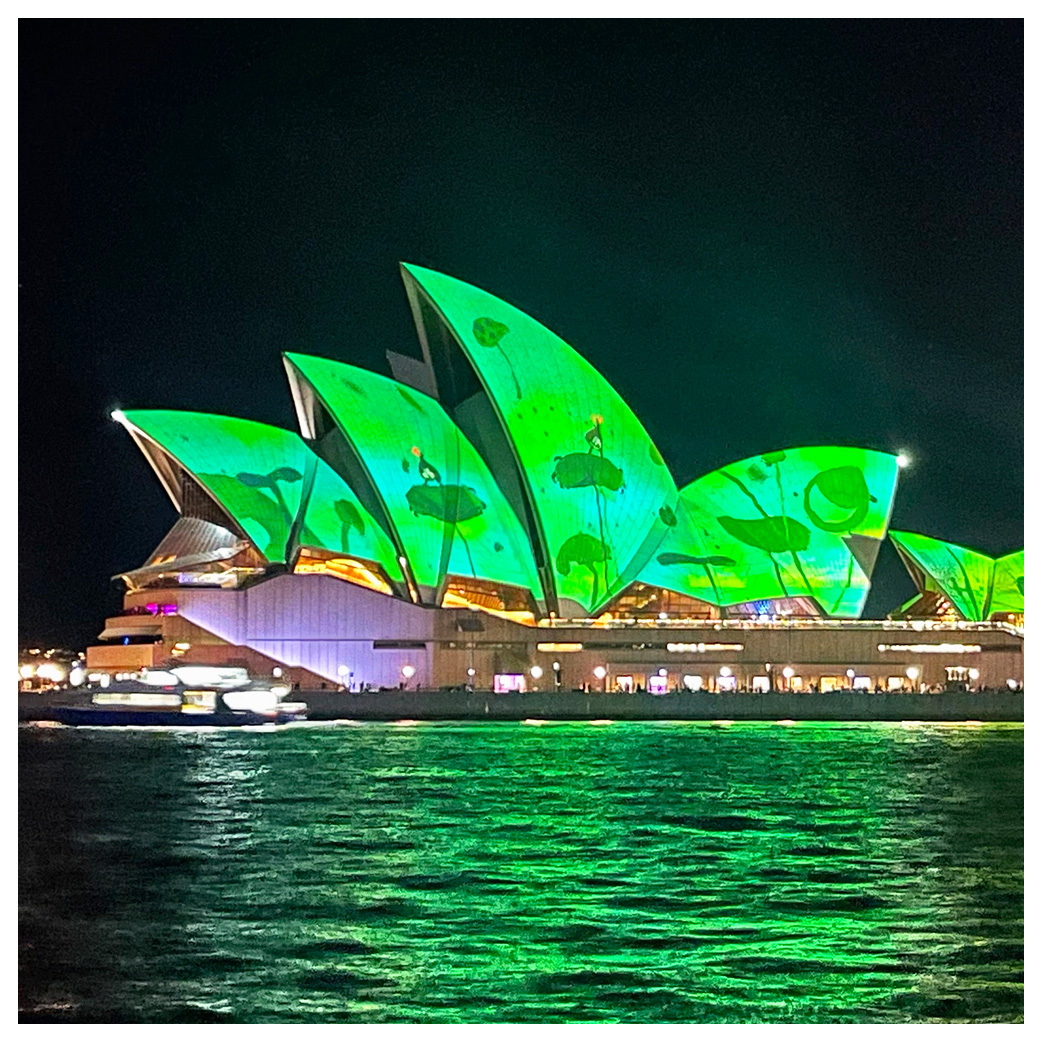 Vivid Sydney Cruise - Boat - Sydney Harbour